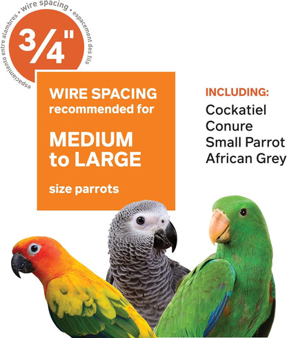 Pet Products Wrought Iron Select Bird Cage 3154C, Chalk White, 36-Inch by 24-Inch by 66-Inch